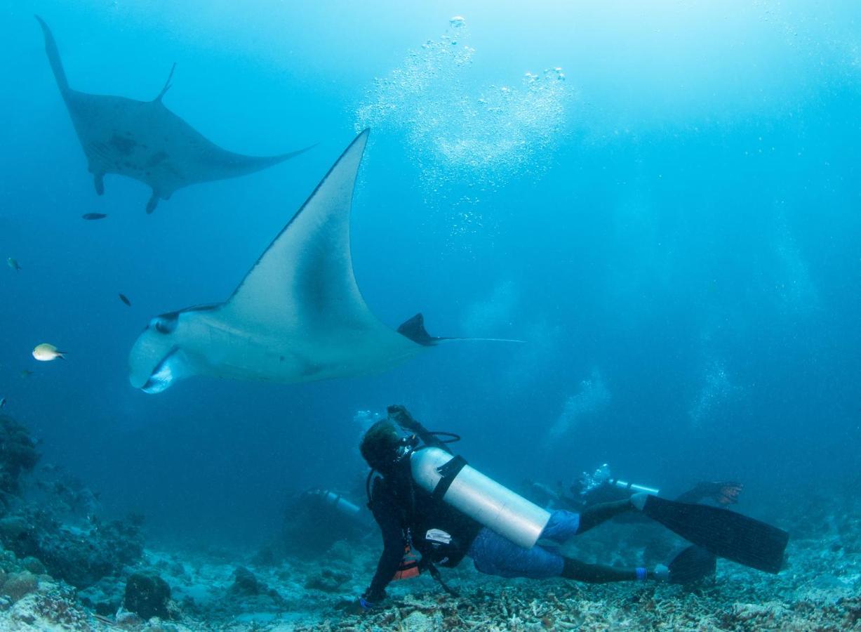 South Ari Dive Center Hotel Dhangethi Exterior foto