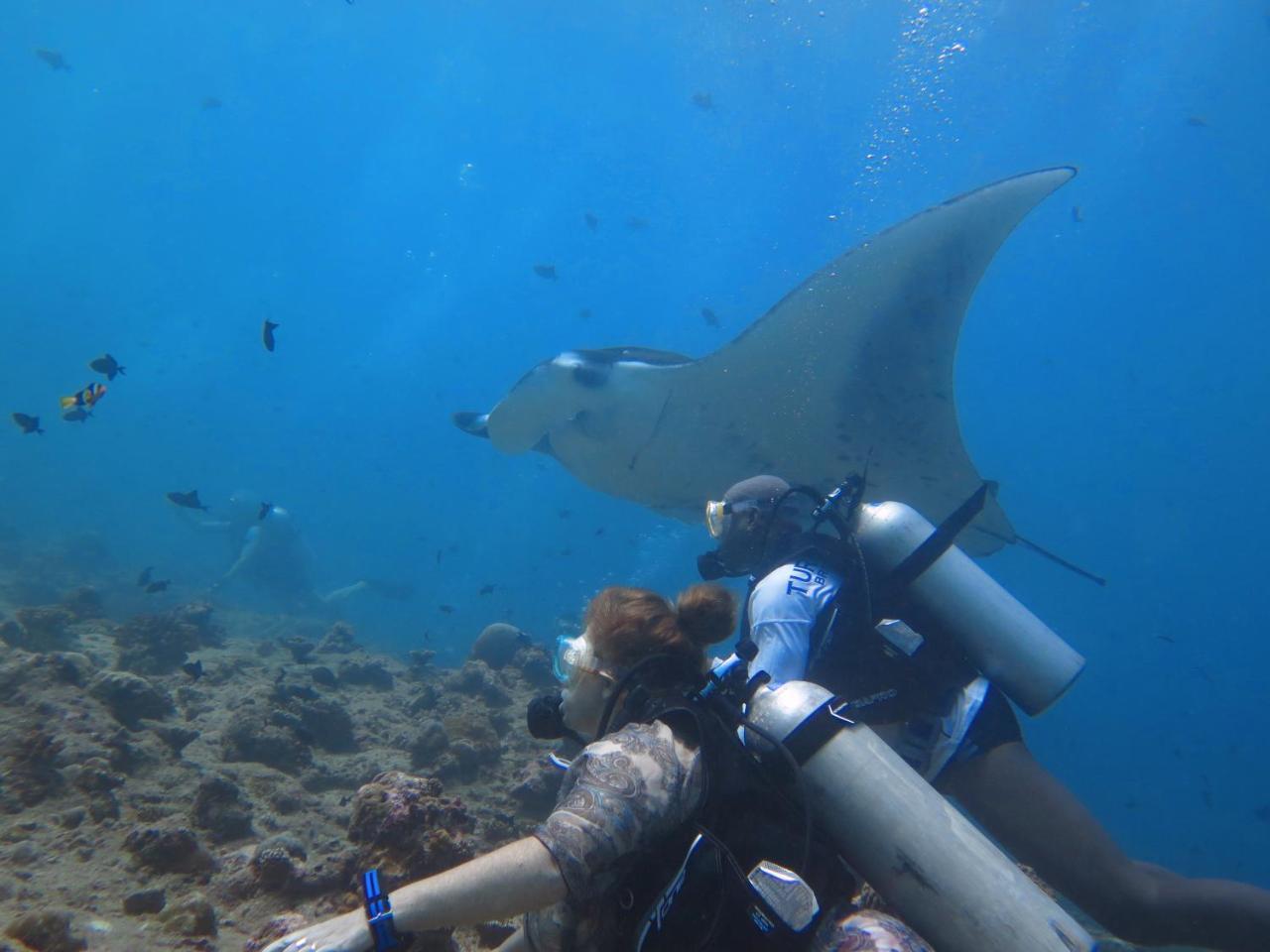 South Ari Dive Center Hotel Dhangethi Exterior foto